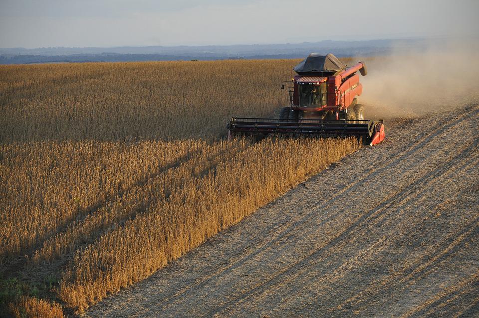 Herbicida Dorai - IHARA Defensivos Agrícolas