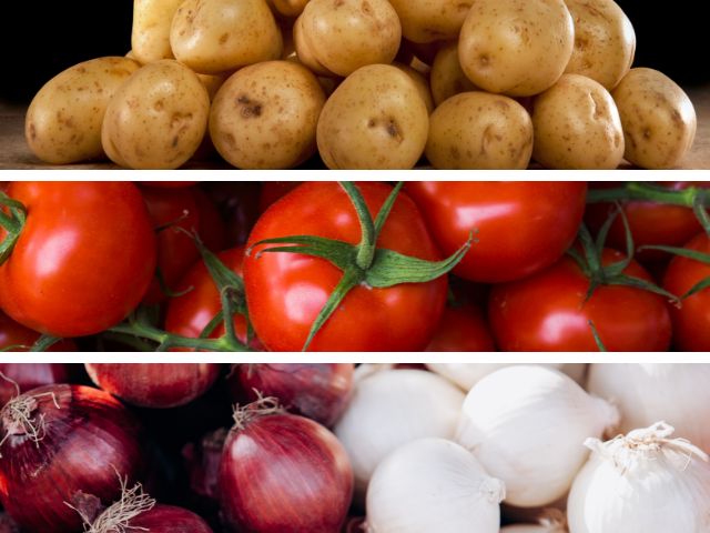 batata, tomate, cebola. Fotos:4 Envato