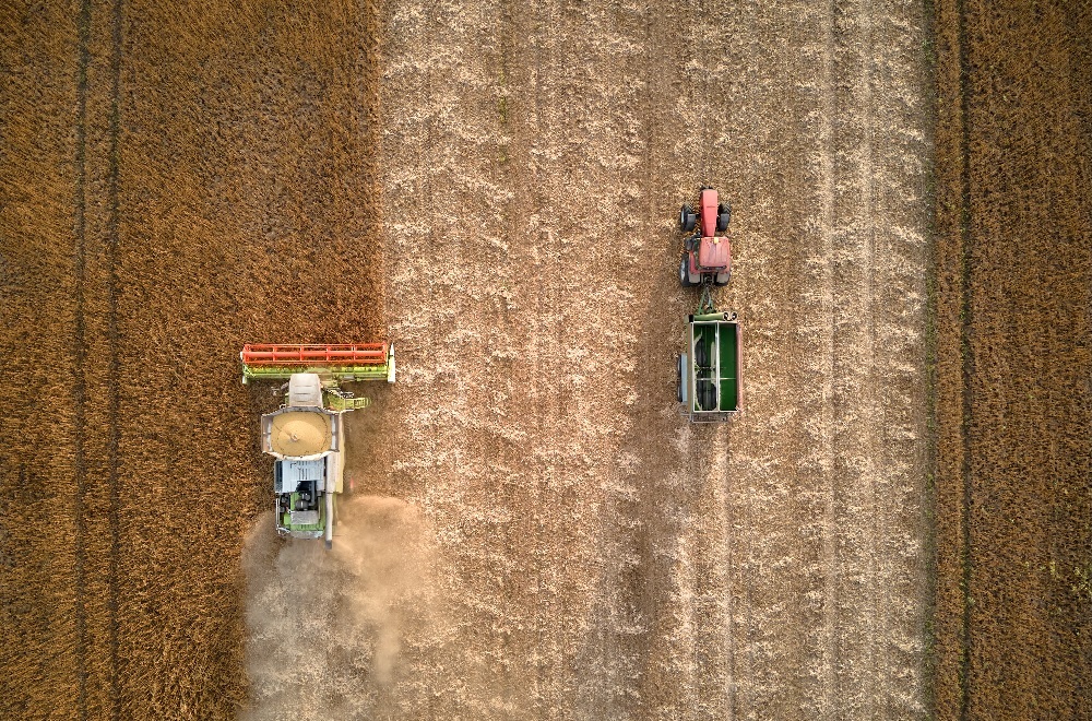 Antracnose, mancha-alvo e ferrugem: saiba como combater essas inimigas da produtividade da soja